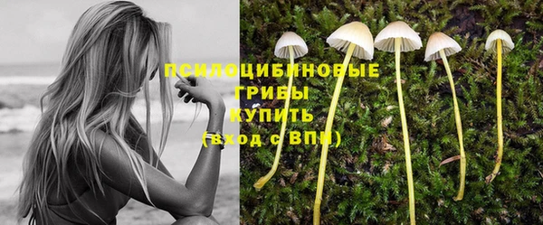 молекула духа Алексин