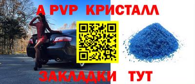 индика Кингисепп
