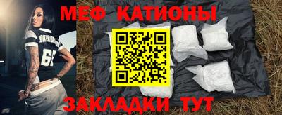 индика Кингисепп