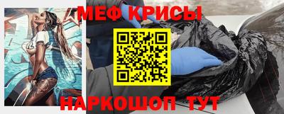 индика Кингисепп