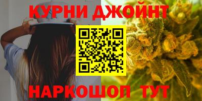 индика Кингисепп