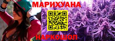 индика Кингисепп