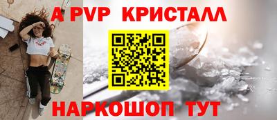 индика Кингисепп