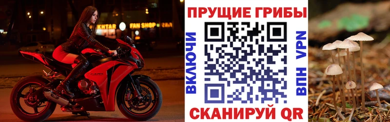 Галлюциногенные грибы GOLDEN TEACHER  Ревда 