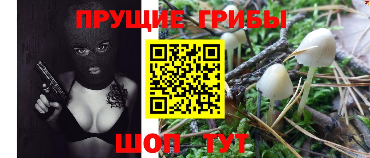 Псилоцибиновые грибы MAGIC MUSHROOMS Ревда